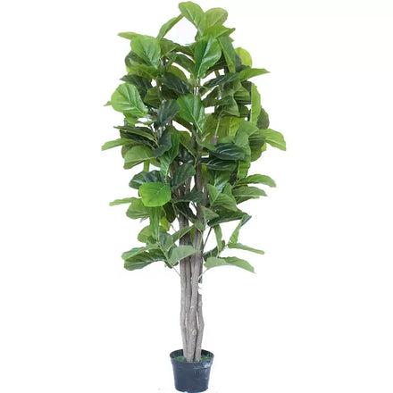 Hot Sell Green 6 Branch Plastic Artificial Fiddle Leaf Fig Tree with Classic Design 180cm
