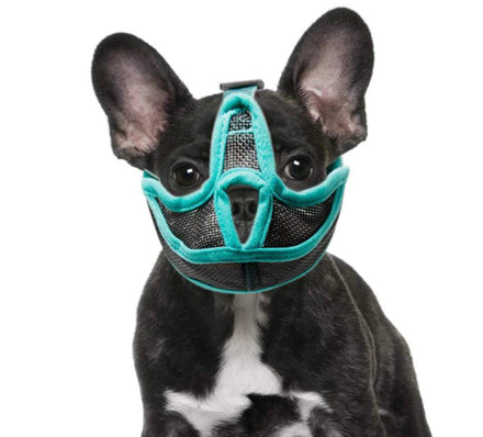 Stocked Fashion Polyester Dogs Christmas Dog Muzzle