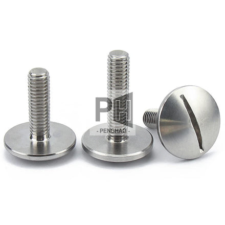 M2.5 M2 M3 M4 M5 M6 Durable 304 Stainless Steel Slot Extra Large Flat Head GB947 Screw Flat Round Head Bolt Slotted Screw