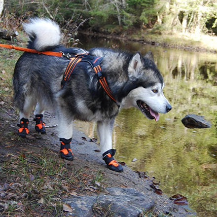 Truelove Adjustable Leather Luxury Fleece Warm Soft Dog Boots Waterproof Windproof Outdoor Reflective Anti-slip Nylon Pet Shoes