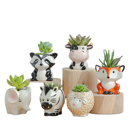 Indoor Outdoor Garden Decoration Flower Pots Succulent Planter Pot
