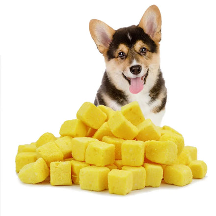 Healthy dog/cat treats freeze dried milk cheese cube pet food manufacturer