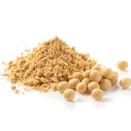 2023 Richtek More Popular Phosphatidylserine Powder 100%Pure Instantized ISO Halal Certificated Soybean Vegan for Food Additives