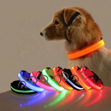 Nylon LED Pet Dog CollarNight Safety Flashing Glow in the Dark Dog LeashDogs Luminous Fluorescent Collars Pet Supplies