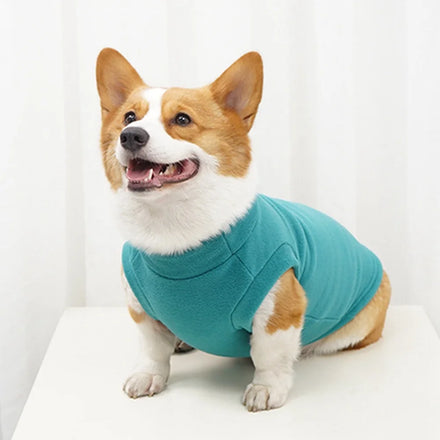Pet Apparel Luxury Solid Color Warm Dog Vests Fleece Cute Modern Cozy Pet Pullover for Dogs and Cats
