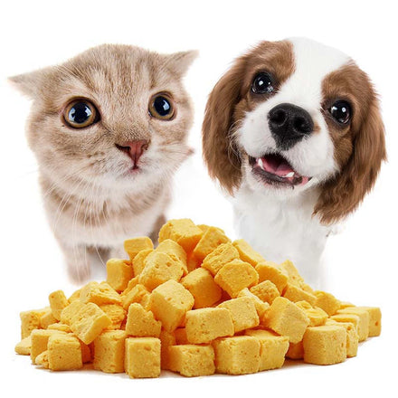 Wholesale freeze dried cheese cubes dog cat snacks additives free dog cat food