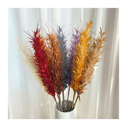 Hot Top Seller Thai Nais Reed Pampas Grass Feather Decor