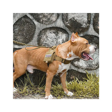 Maychan Custom Adjustable No Pull Pet Harness Outdoor Tactical Nylon Dog Safety Harness
