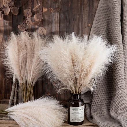 2022 Best Selling Natural Real Artificial Beige Pampas Grass for Home Decor