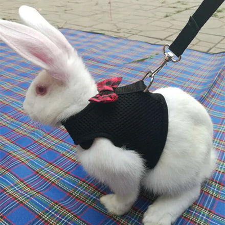 Nylon Solid Harness Leash Set for Small Animals Adjustable Rabbit Vest & Chest Leash Lelote Brand Bowknot
