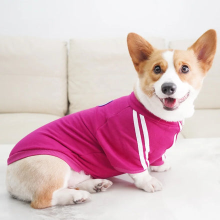 Wholesale Chongtapet WC6 Luxury Red Striped Spring Pet 280G Cotton Sweater Teddy Bears Schnauzer Corgi Sports Retro Dog Clothes