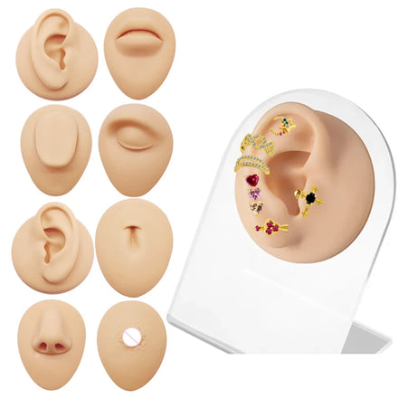 Gaby Factory Stents Simulation Body Part Silicone Display Ear Nose Lip Navel Wholesale Piercing Jewelry Display Model