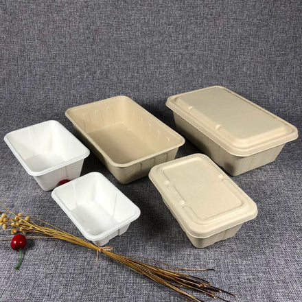 X51 100% Biodegradable Sugarcane Food Box with Lid Disposable Bamboo Paper Pulp for Lunch 15% Off Made From Bagasse Material