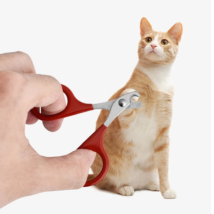 Wholesale Low Price Pet Grooming Tool Dog Cat Nail Clippers Stainless Steel Nail Cutter for Small Pet Dogs Cats