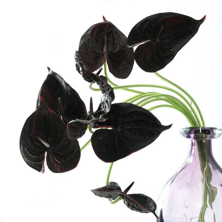 New Arrivals Colorful Pu Real Touch Plants Artificial Flowers Anthurium Leaves for Home Decor