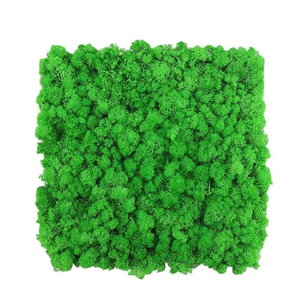 Wholesale 2026 Hot Sale Preserved Reindeer Moss Panels Natural Flower Christmas Wall Decor with Customized Color & Size