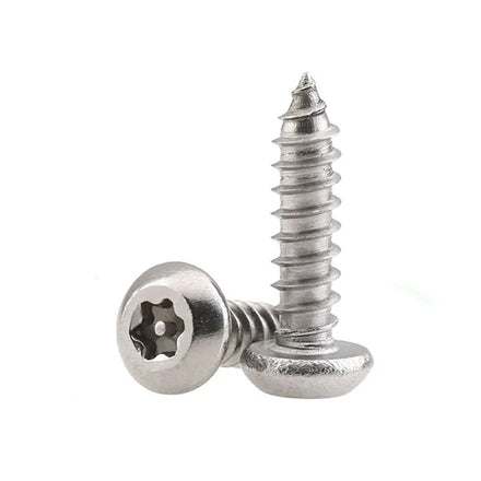 Stainless Steel Ss 304 Torx Pan Head Self Tapping Screw