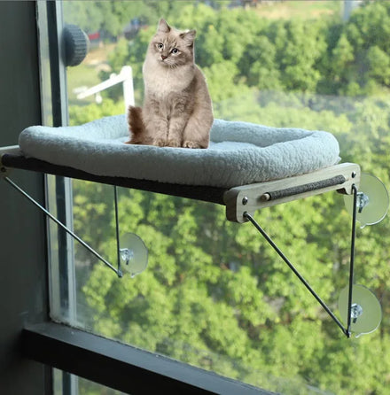 ZMaker Cat Hammock Removable Bed Cat Resting Seat Powerful Suction Cups Sunbath Bed Cat Hammock Bed