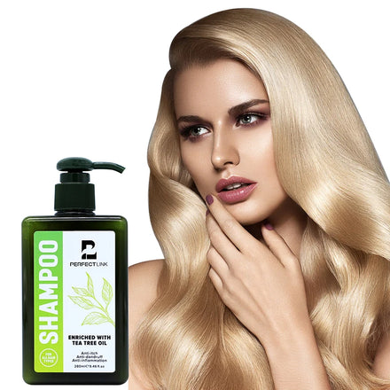 Wholesale Natural Hair Grow Loss Prevention Shampoo Organic Ginger Mint Tea Tree Oil Moisturizing Liquid 2-IN-1 Formula for