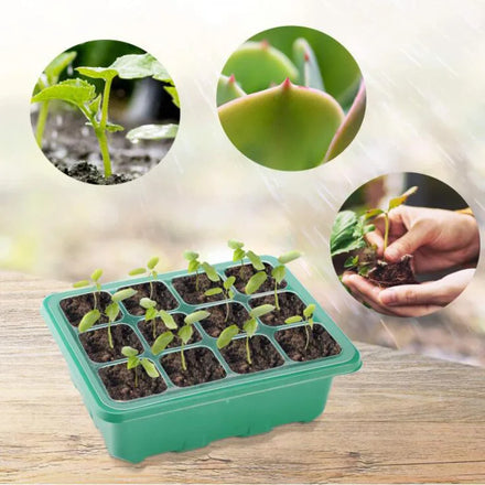 12 Cells Seedling Starter Tray Germination Grow Box Propagation Plant Flowerpots Nursery
