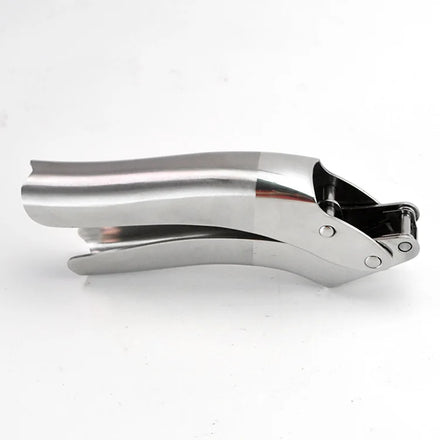 Hot Seller Kitchen Accessories Manual Garlic Press Zinc Alloy Crusher Handheld Squeezer 1 Piece