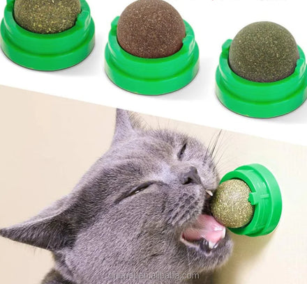 Eco-Friendly Catnip Treat Lollipop Classic Style Cat Wall Ball Toy Animation Plastic Interactive Pet Cat Snack Toy Box Packaging