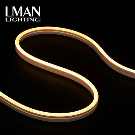 24V Christmas Silicone LED Strip Decoration Colorful Flex Neon Flex with IP65 Rating Silicone Rope Lights