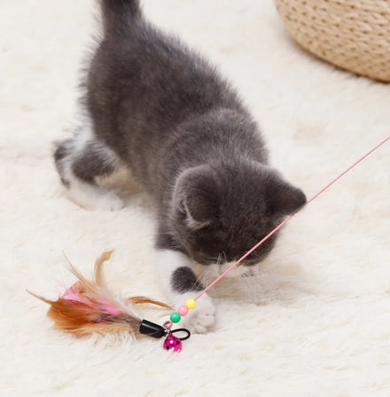 Durable Small Interactive Cat Toy Eco-Friendly Feather Teaser Stick Classic Fashion Style for Playing