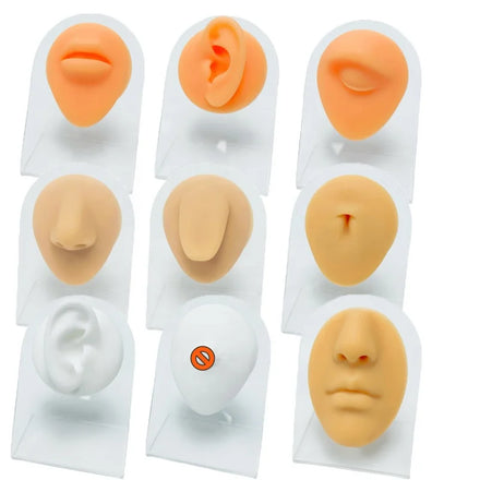 Gaby Hot Sale Silicon Mold Ear Display Model Stand Show Earring Piercing Jewelry Display Tool Nose Piercing Display