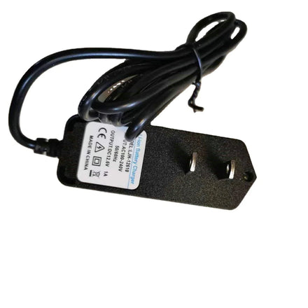 12V 1A 2A CHARGER FOR LITHIUM BATTERY  CONNECTOR MADE TO ORDER