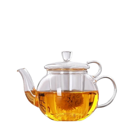 Wholesale Eco-Friendly 300ml Gongfu Glass Teapot Set Handmade Modern Design Borosilicate Infuser Coffee Drinkware Clear Small