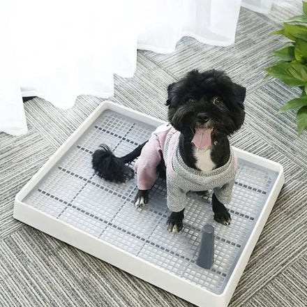 Eco-Friendly Sustainable Dog Training Litter Tray Pet Toilet Pad Floor Protection