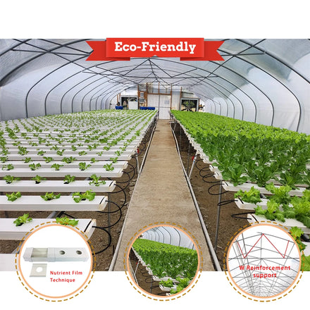 Baolida Hot Sale Poly Tunnel Strawberry Greenhouse Agricultural Single-span Greenhouse for Strawberry Growing