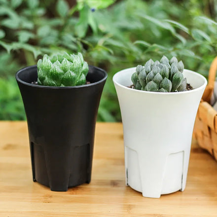 Black & White Round Plastic Planters Fleshy Flower Pot