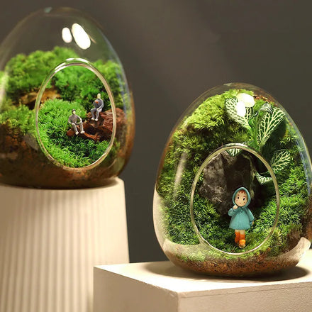 Egg Shape Glass Terrarium Hydroponic Planter for Succulent