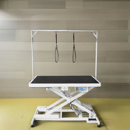 Petsproofing Pet Salon Groomer Dog Show Cat Shop Weighted Rectangular Air Lifting Height Adjustable Dog Pet Grooming Table