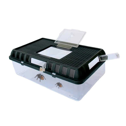 Reptile Breeding Box Spider Lizard Gecko Hamster Snake Tortoise Beetle Breeding Case Transparent Pet House