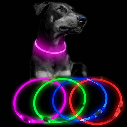 Wholesale USB-C Rechargeable LED Necklace Elegant Plastic Glowing Cat Dog Collar for Night Safety Available Small Large Sizes