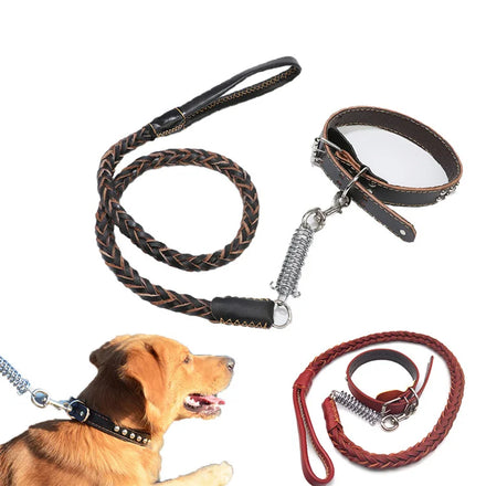 Genuine Leather Pet Training Big Dog Spring Spiral Collar and Leash Set Leather Luxury