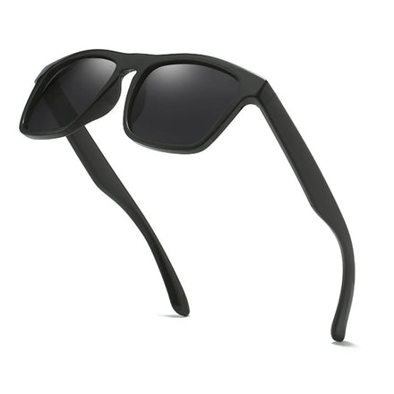 FRROS 8819 Thailand Popular Custom Your logo Polarized Luxury Brand Sunglasses for Men