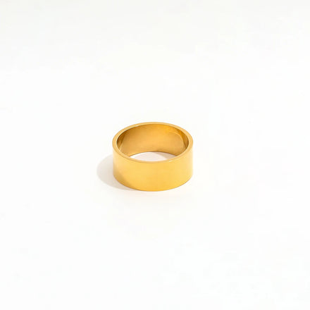 Fenny 18K Gold Plated No Fade Permanent Simple Brushed Band Ring Trendy for Couples Stainless Steel Wholesale Jewelry