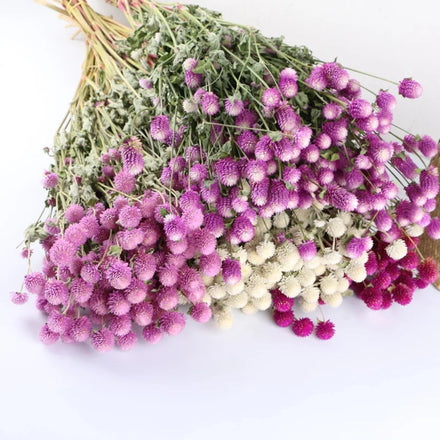 O-X794 Ins Style Batch Shipment Natural Strawberry Fruit Home Party Wedding Decorations Dried Flowers Gomphrena Globosa in Bulk