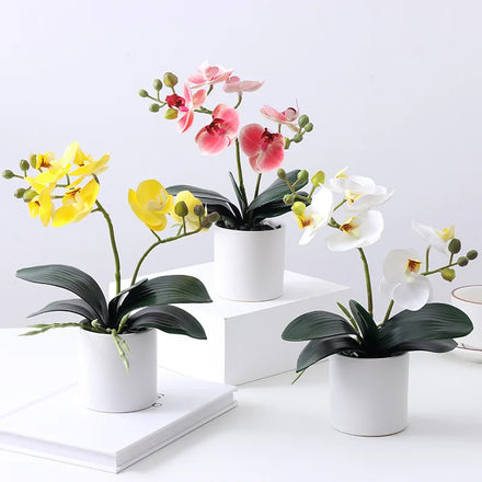 E004 3D Printing Real Touch Phalaenopsis Simulation Flower Living Room Table Tea Table Decoration Indoor Decoration Flower