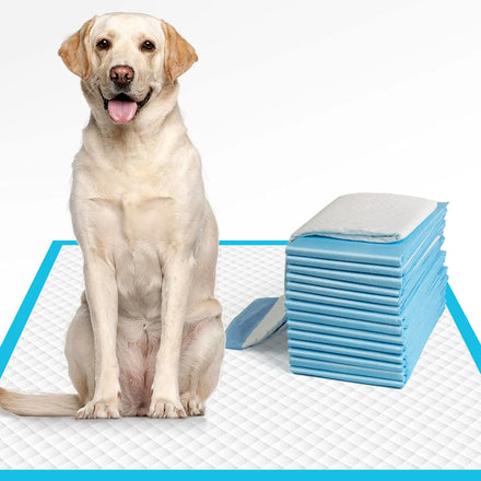 Top Seller Pet Training Supplies Disposable Puppy Pee Pads Piddle Potty Pads for Dog Grooming and Cleaning