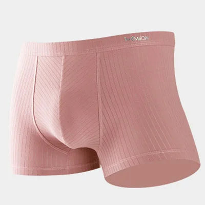 Men's Sexy Panties G-string Underwear