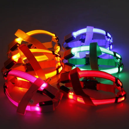 2025 Custom Designer Safety Full Body Protection Heavy Duty LED Light Pet Dog Harness