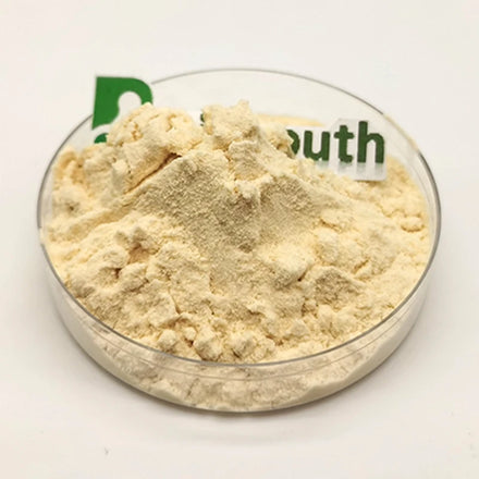 High Quality Food Additives Base Flavors Cheese Cheddar Powder