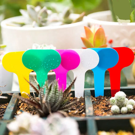 100 Pieces 2*2.75 Inch 5*7 cm PVC T Shape Label Tag for Bonsai Nursery Planters