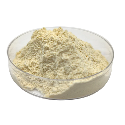 Wholesale Dried Powder Granules Dehydrated Garlic Tablets Dehydrated Garlic powder