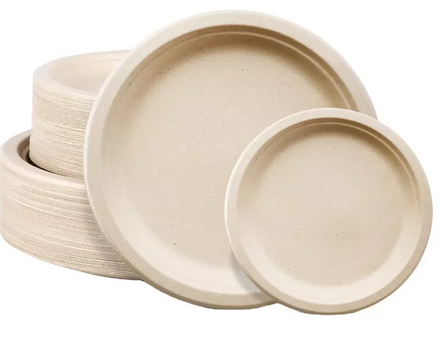 Disposable Biodegradable Plates Sugarcane Bagasse Paper Pulp Mould 7 Inch 9inch Plates
